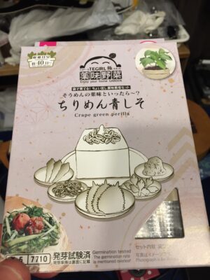紫蘇を育てる