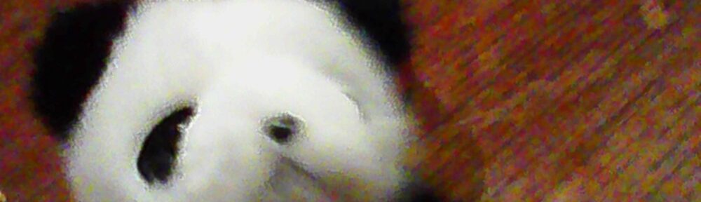 借りたトイカメラで撮った写真
