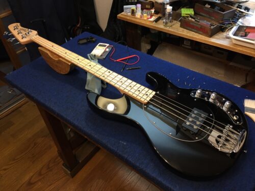 Stingray