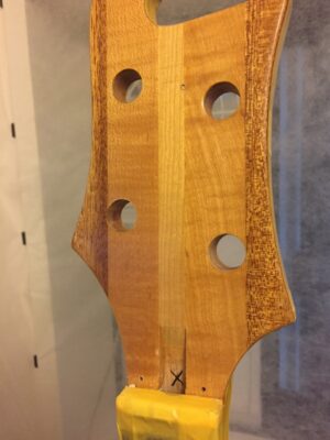 ミッチャクロンを吹き付けた