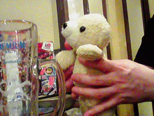 飲み会を満喫するキャンドゥのくま