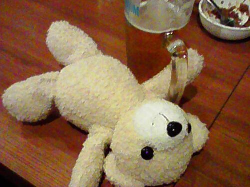 飲み会を満喫するキャンドゥのくま
