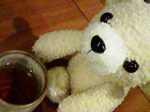 飲み会を満喫するキャンドゥのくま