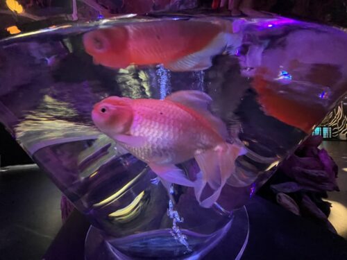 お台場　GA☆KYO