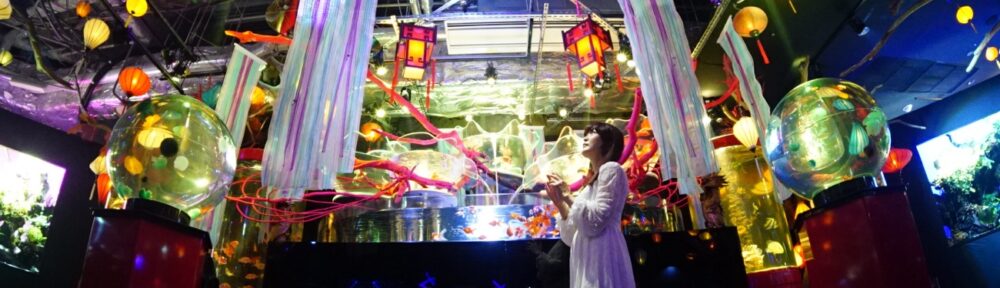 お台場　GA☆KYO