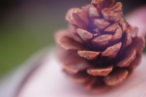 2025.11カレンダー撮影