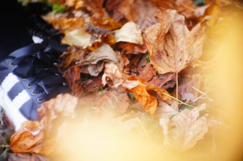 2025.11カレンダー撮影