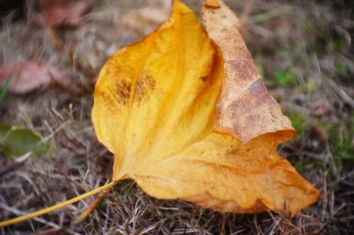 2025.11カレンダー撮影
