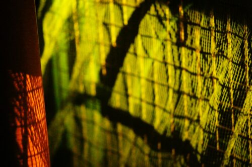 E.Zuiko Auto-T 100mm F3.5