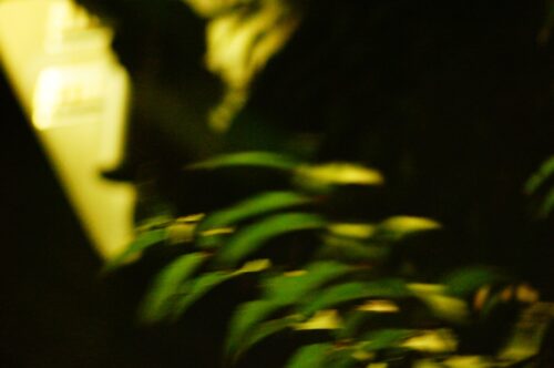 E.Zuiko Auto-T 100mm F3.5