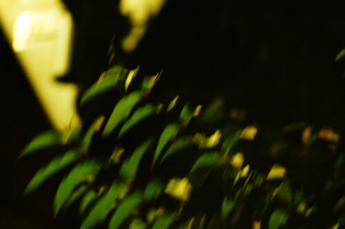 E.Zuiko Auto-T 100mm F3.5