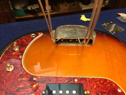 おおよそ左右対称に付いた