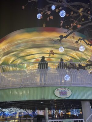 2025 12月のカレンダー撮影