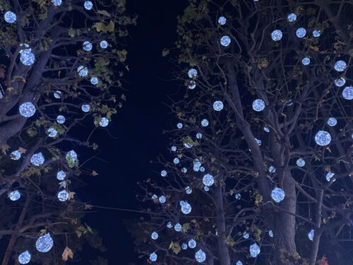 2025 12月のカレンダー撮影