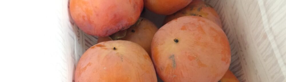 柿を頂きました