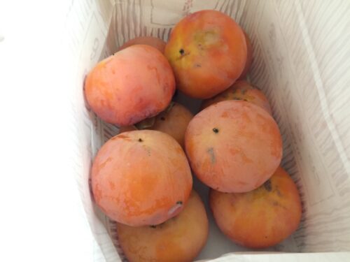 柿を頂きました