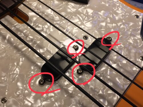 このネジがノイズ源になっている