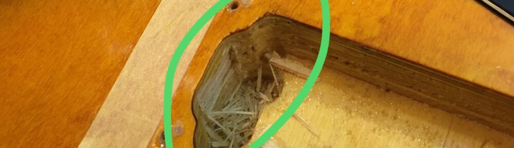 キャビティを簡易的に拡げた