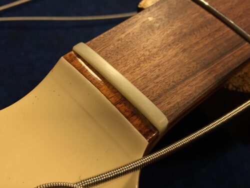 弦溝がなかった