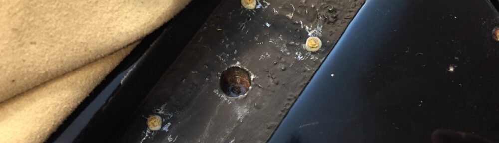 ネジ穴を埋めた