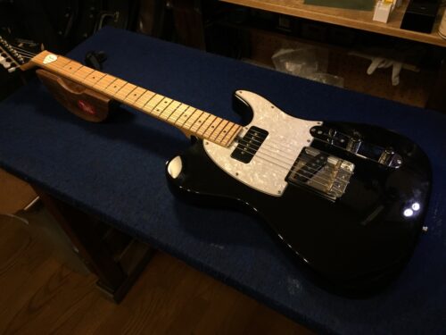 バッカステレのメンテナンス