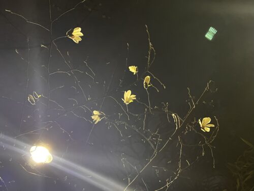 名主の滝公園周辺