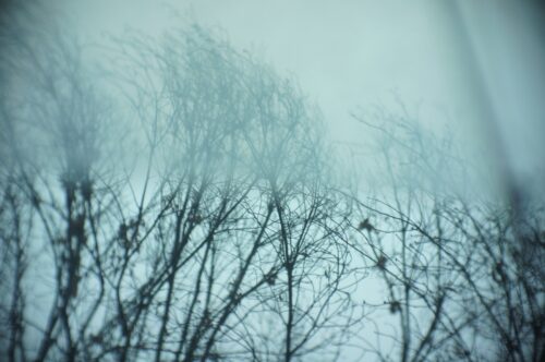 2026 4月のカレンダー撮影