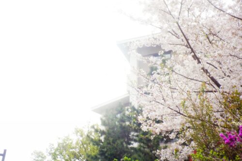 MANTHIONSの団地ツアー