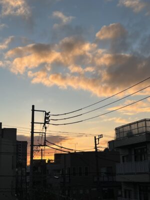 きれいな夕焼け